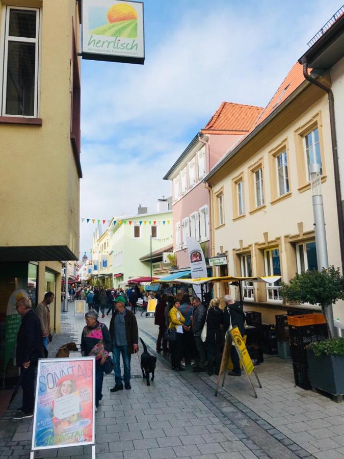 Boutique-Ferienwohnung Im Alten Weinhaus Moser Grünstadt Exteriér fotografie
